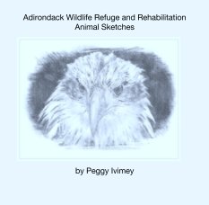 Adirondack Wildlife Refuge and Rehabilitation Animal Sketches book cover