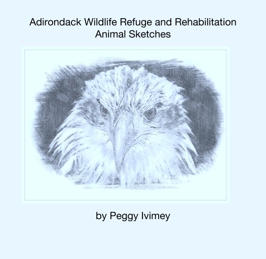 View Adirondack Wildlife Refuge and Rehabilitation Animal Sketches by Peggy Ivimey
