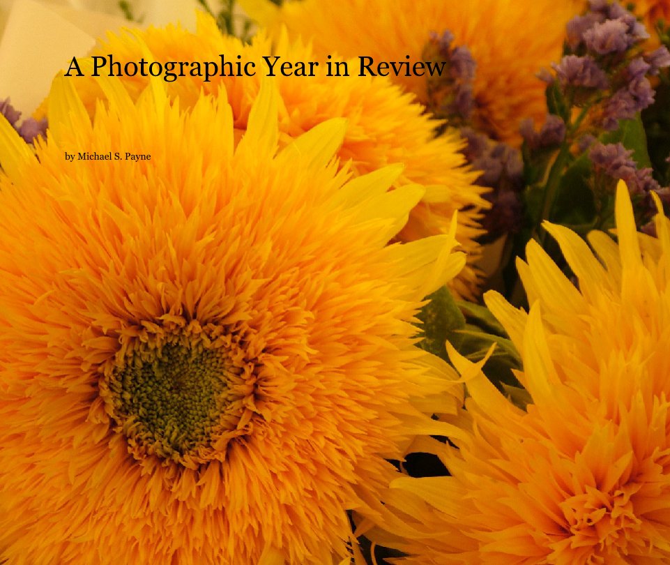 A Photographic Year in Review nach Michael S. Payne anzeigen