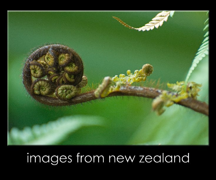 View images from new zealand by Andrea Schwass