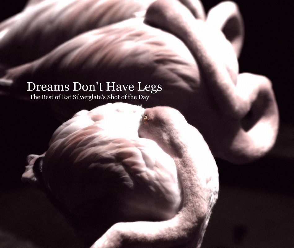 View Dreams Don't Have Legs by Kat Silverglate