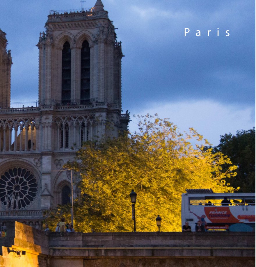 View Paris by Matt Watier