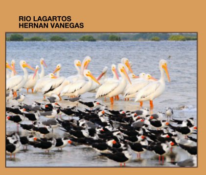 RIO LAGARTOS book cover