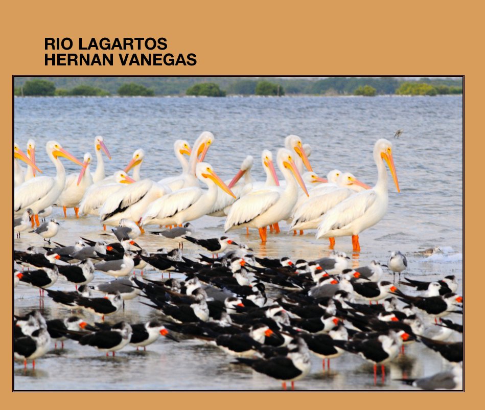 View RIO LAGARTOS by HERNAN VANEGAS