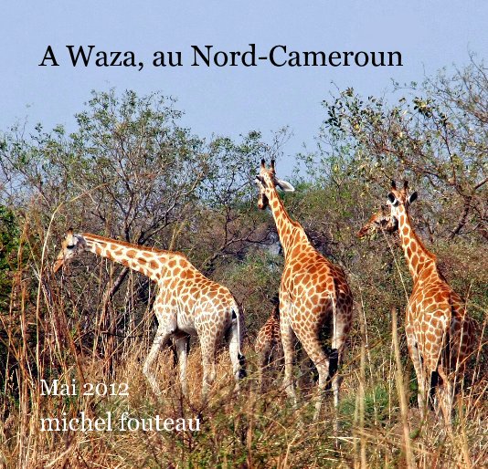 View A Waza, au Nord-Cameroun by michel fouteau