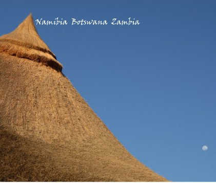 Namibia Botswana Zambia book cover