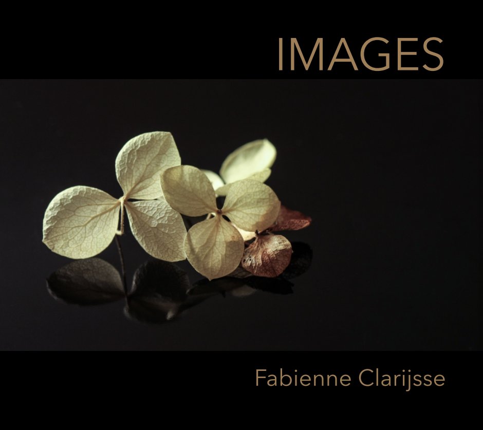 Visualizza Images di Fabienne Clarijsse