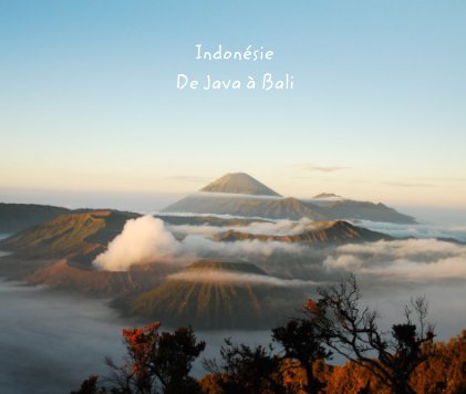 Indonésie De Java à Bali book cover