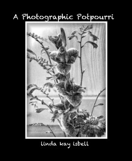 A Photographic Potpourri book cover