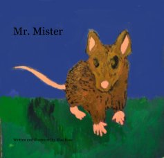 Mr. Mister book cover
