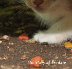 The Story of Freddie book cover