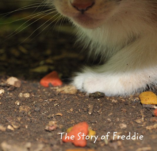 View The Story of Freddie by Jason Baker