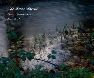 The River Darent book cover