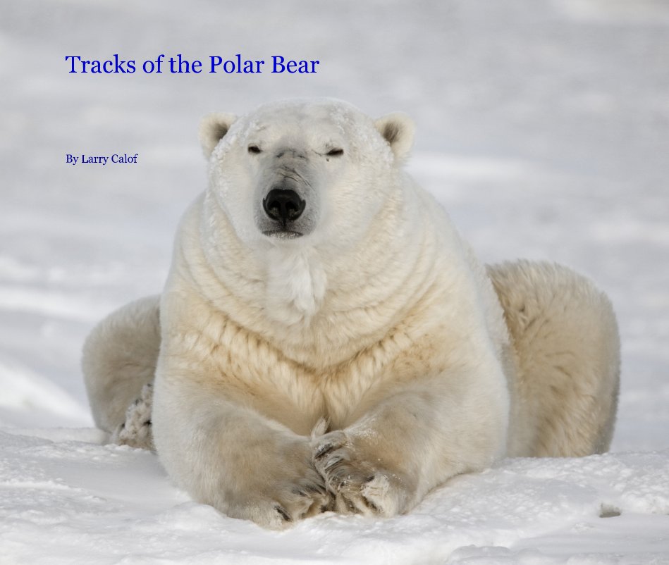 View Tracks of the Polar Bear by Larry Calof