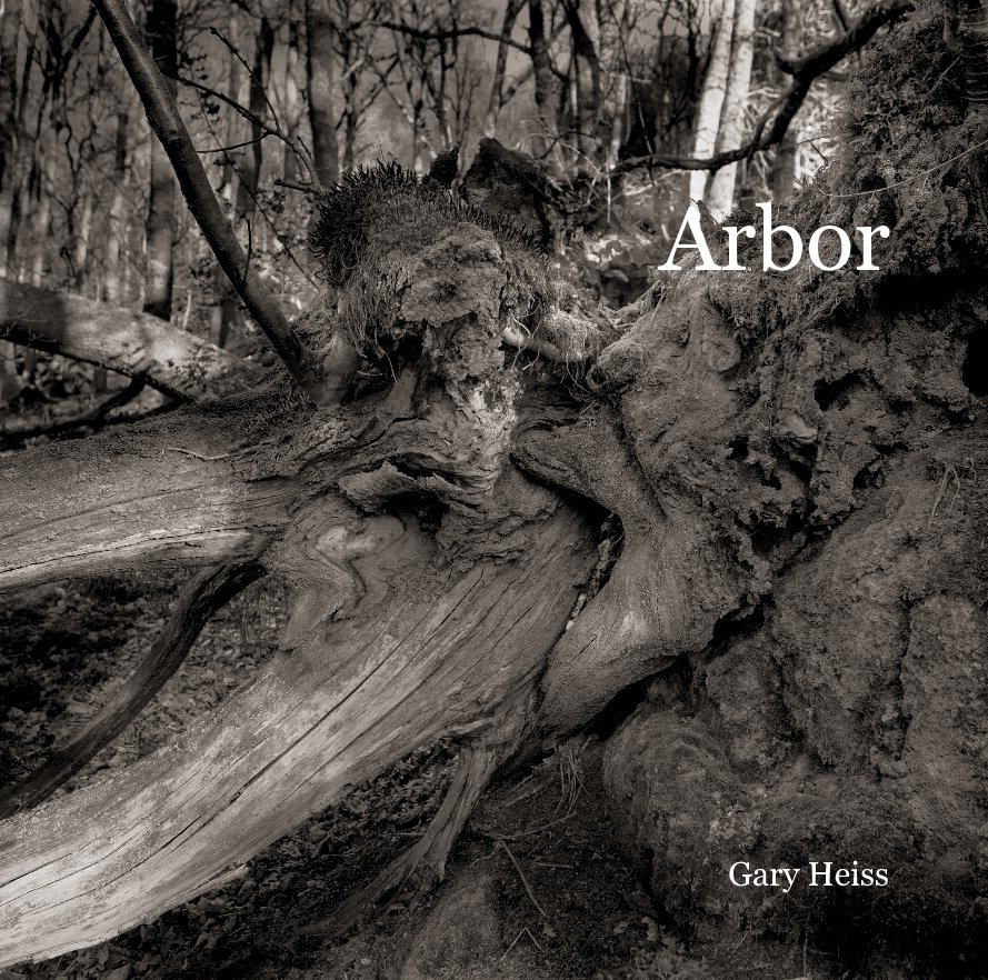 View Arbor by Gary Heiss