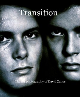 Transition Photographs by David Zanes book cover