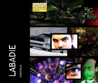 LABADIE book cover