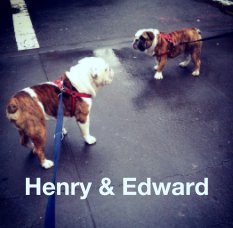 Henry & Edward: Bulldog Brothers of Tribeca book cover