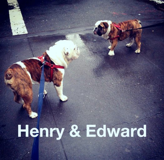 Ver Henry & Edward: Bulldog Brothers of Tribeca por Henry & Edward