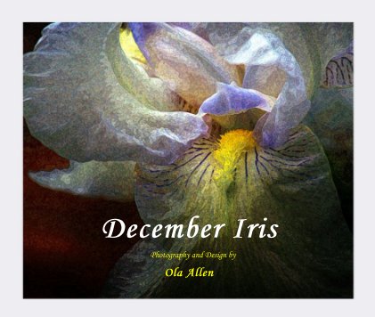 December Iris book cover