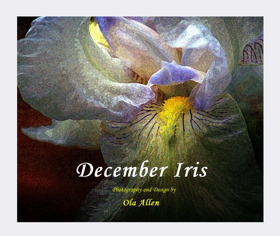 View December Iris by Ola Allen