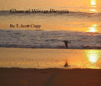 Ghost of Winter Pictures book cover