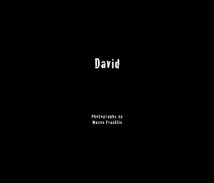 David 1 book cover
