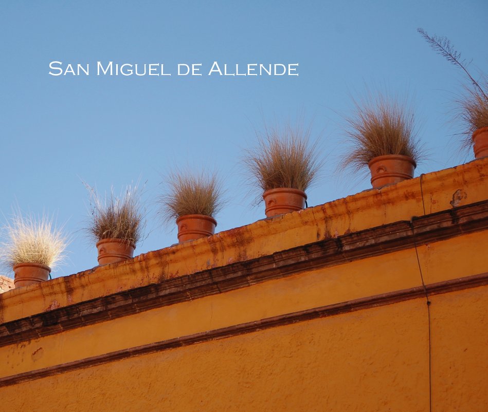 View San Miguel de Allende by sbennet1