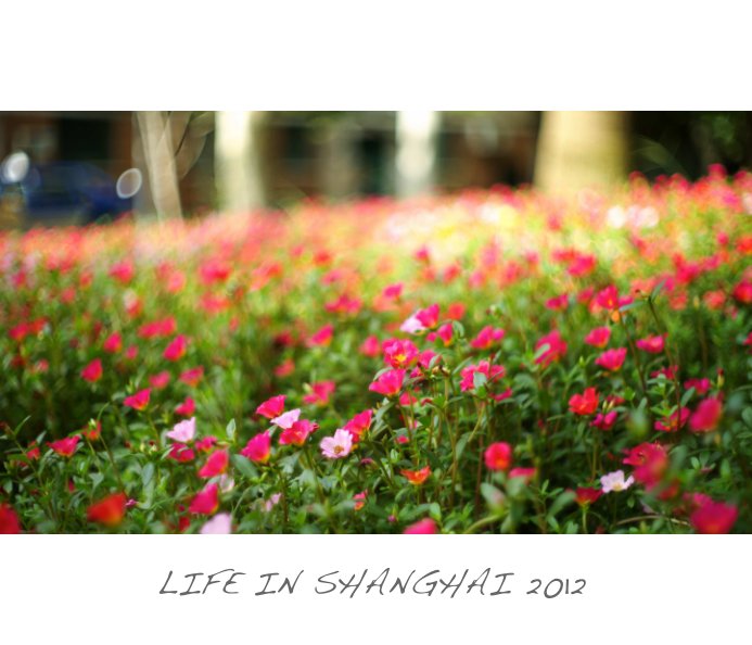 Ver LIFE IN SHANGHAI 2012 por golf9c9333