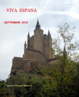 VIVA ESPANA book cover