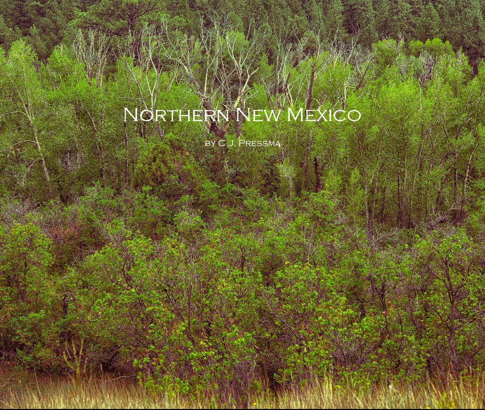 View Northern New Mexico by C.J. Pressma