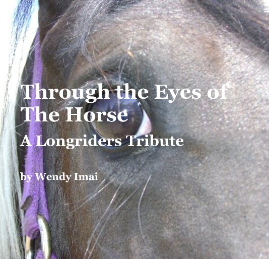 View Through the Eyes of The Horse by Wendy Imai