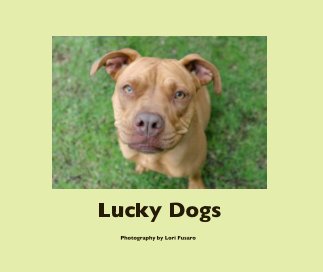 Lucky Dogs book cover
