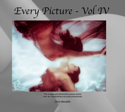 Every Picture vol IV book cover