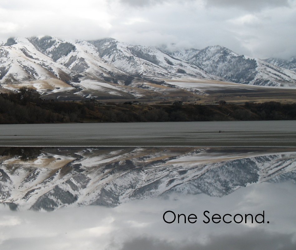 Ver One Second. (Abridged Edition) por Bob Wells