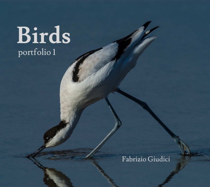 Bekijk Birds Portfolio 1 (4th edition) op Fabrizio Giudici