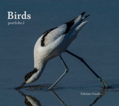 Birds Portfolio 1 (4th edition) book cover
