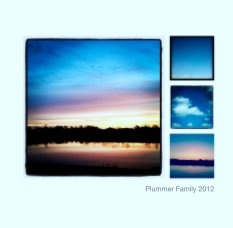 Plummer Family 2012 book cover