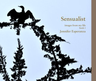Sensualistimages from my lifebook 1 Jennifer Esperanza book cover