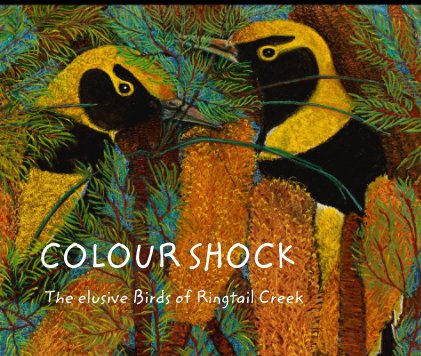 COLOUR SHOCK The elusive Birds of Ringtail Creek book cover