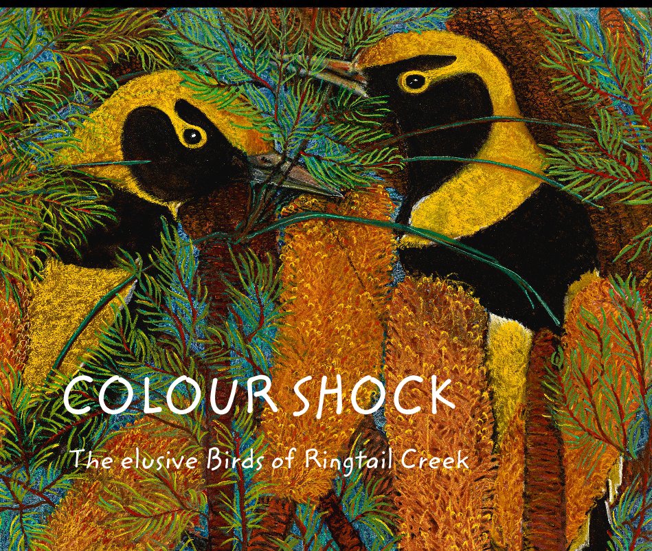 View COLOUR SHOCK The elusive Birds of Ringtail Creek by Angela Anderson