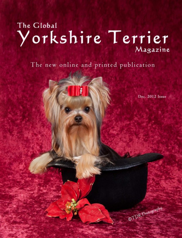 Visualizza The Global Yorkshire Terrier Magazine di Tea Rendic