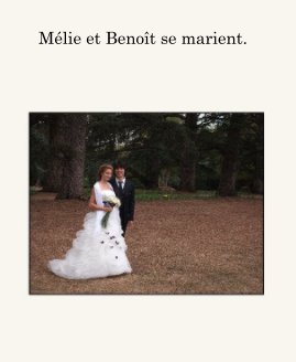 Mélie et Benoît se marient. book cover