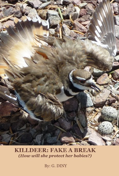 View KILLDEER: FAKE A BREAK (How will she protect her babies?) by By: G. DINY