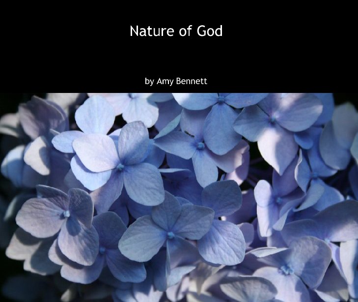 View Nature of God by Amy Bennett