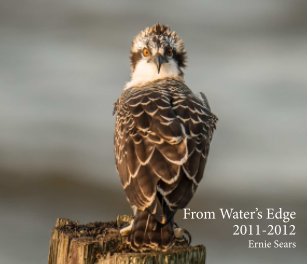 From Water's Edge 2011/2012 book cover