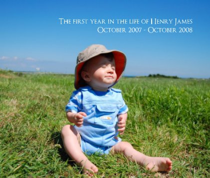 The first year in the life of Henry James October 2007 - October 2008 book cover