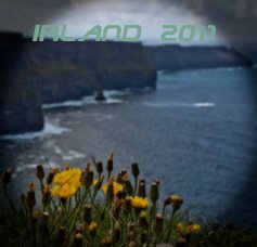 Irland 2011 book cover