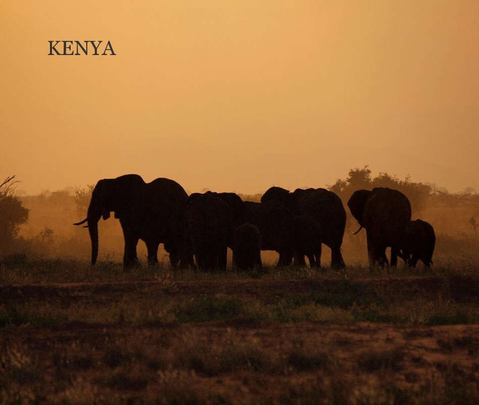 View KENYA by marco64