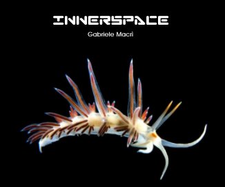 INNERSPACE book cover